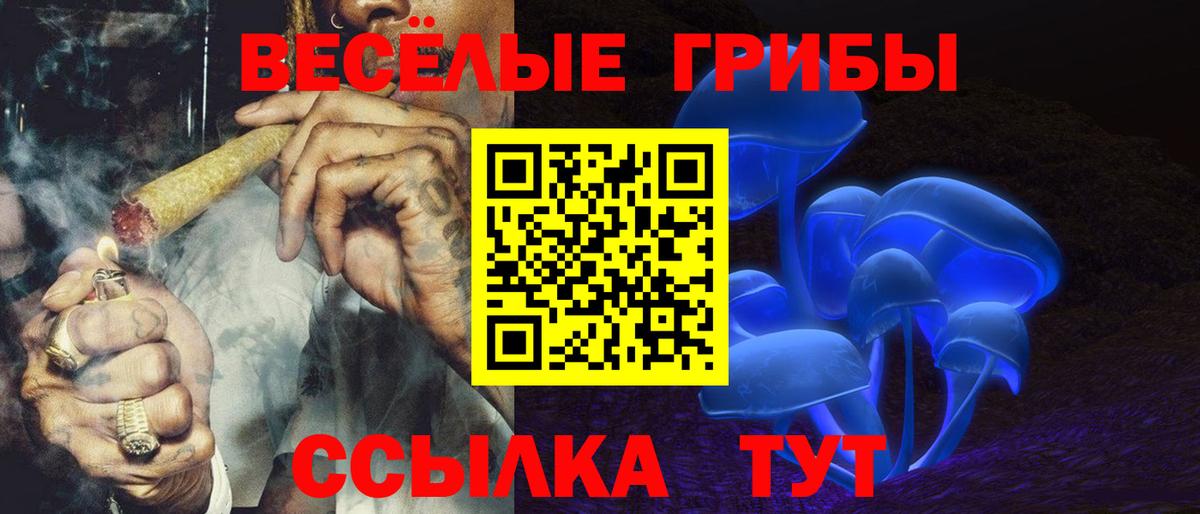 Лесной  Галлюциногенные грибы мицелий  где можно купить наркотик  Вход с VPN 